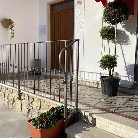 L'edera *