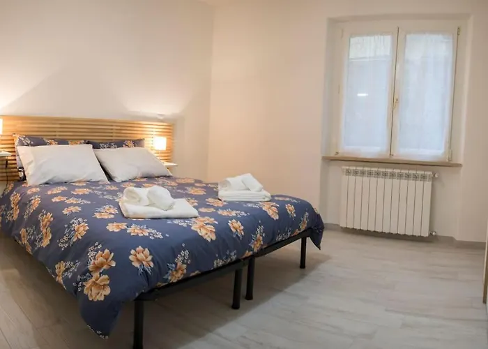 L'edera