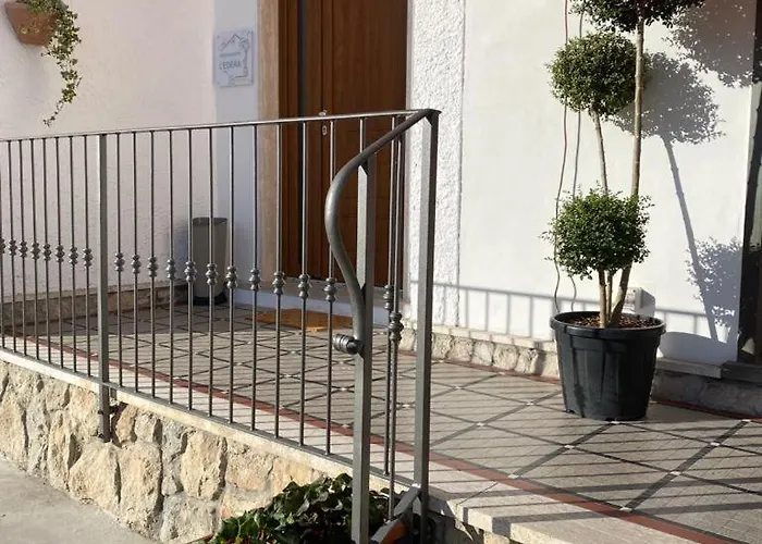 L'edera *